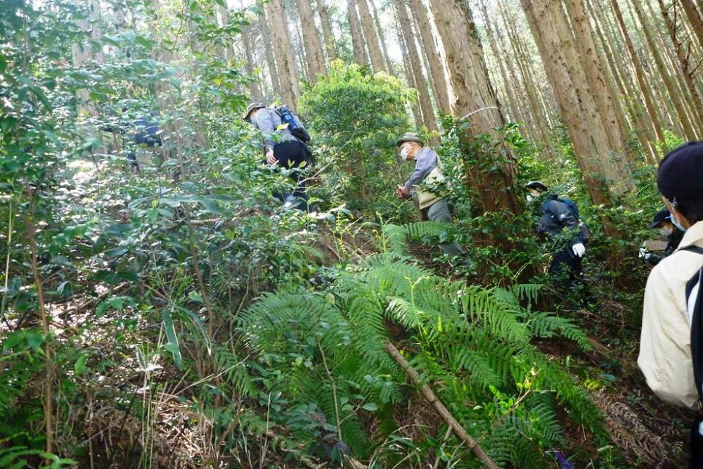 最初が急登ですので、ゆっくりと進んでいきます！