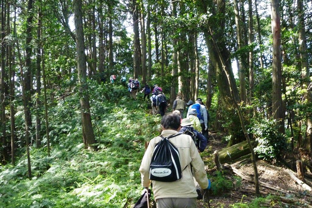 尾根になり緩やかになりました。自然を感じながら山歩きを楽しみます！