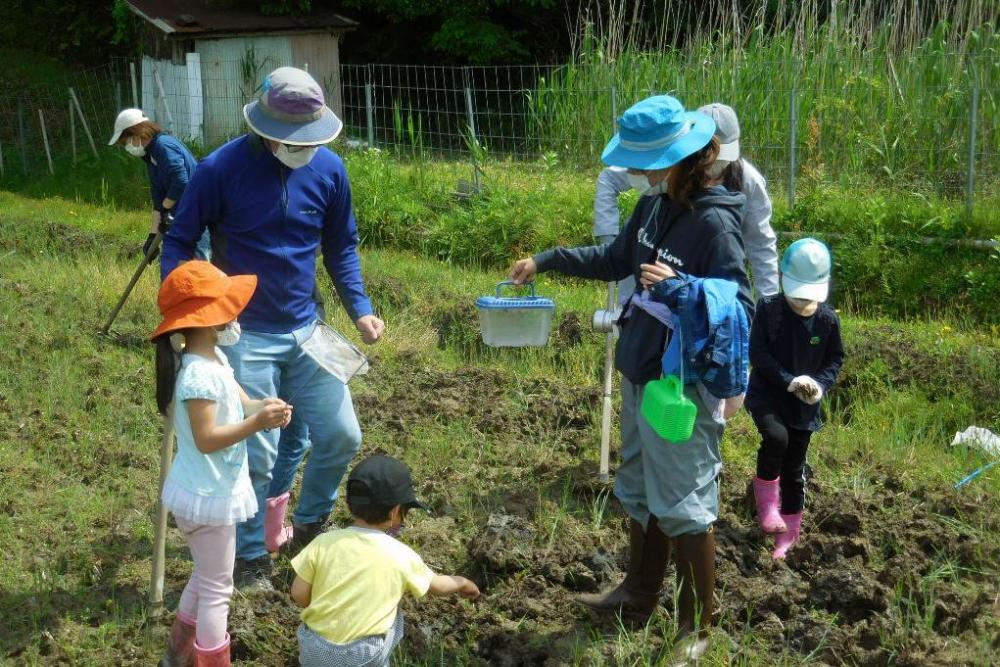 子供たちはもうカエル探し