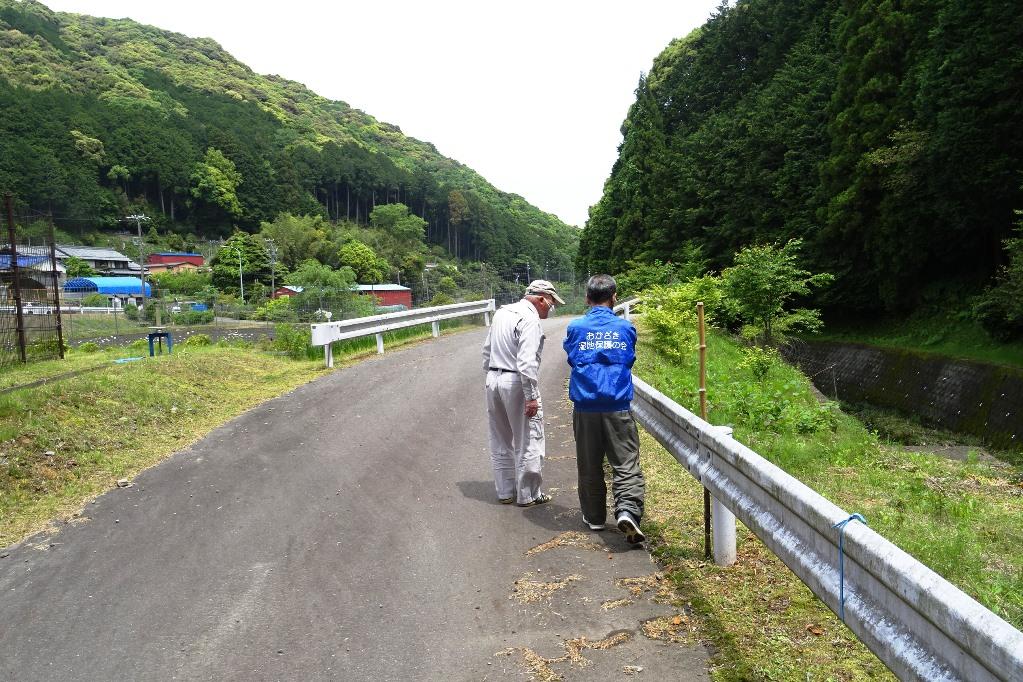 川だけではなく、岸や土手なども観察しました！