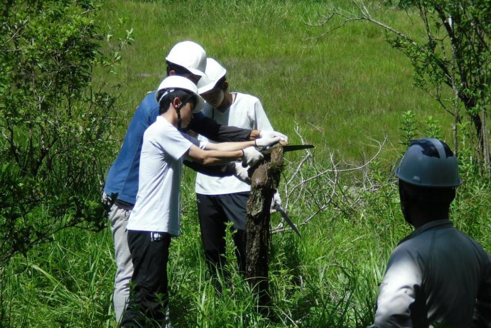 学生３人がかりで枯木の処理を行いました。