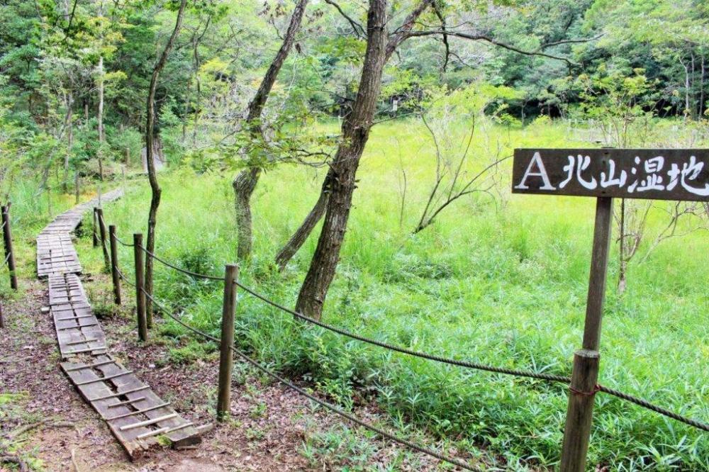 目を凝らせば非日常の世界が見えてくる北山湿地