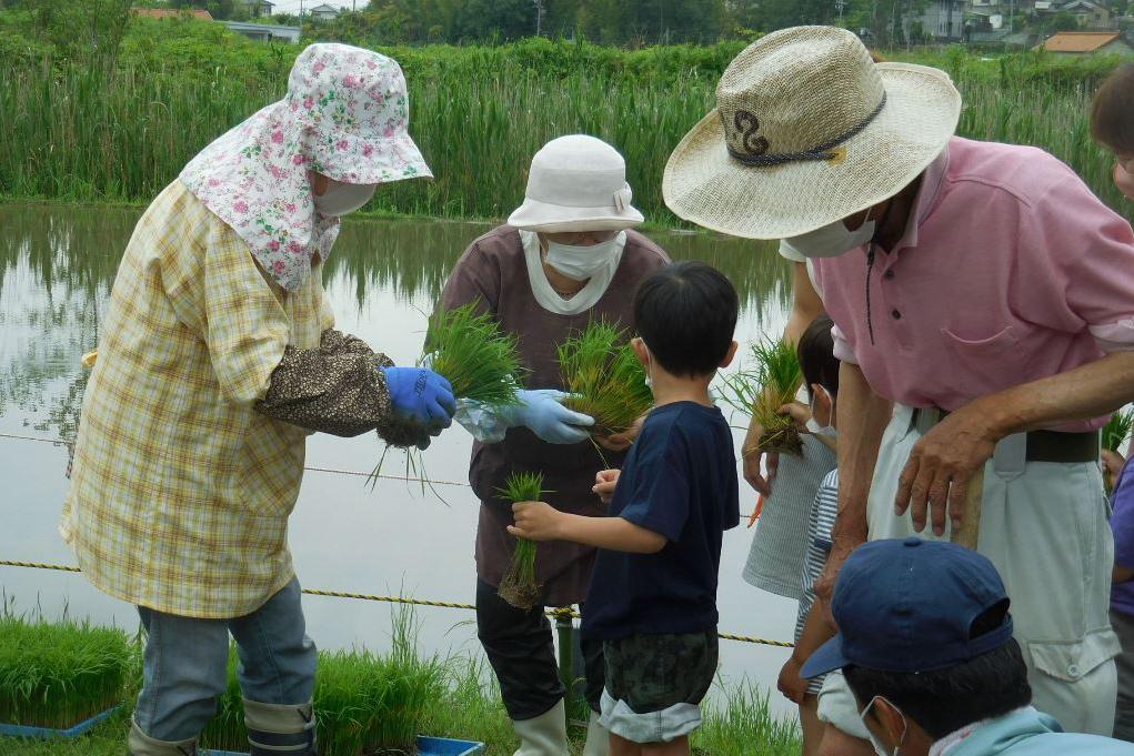 田植え経験の豊富な地元女性会の皆さん、頼りになります！