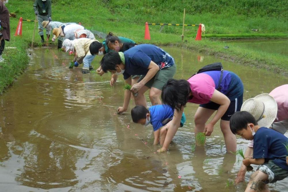 半分は超えたかな