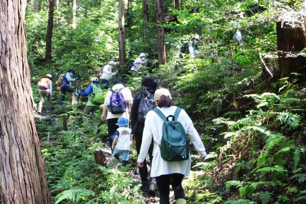 いよいよ登山道を進んでいきます。