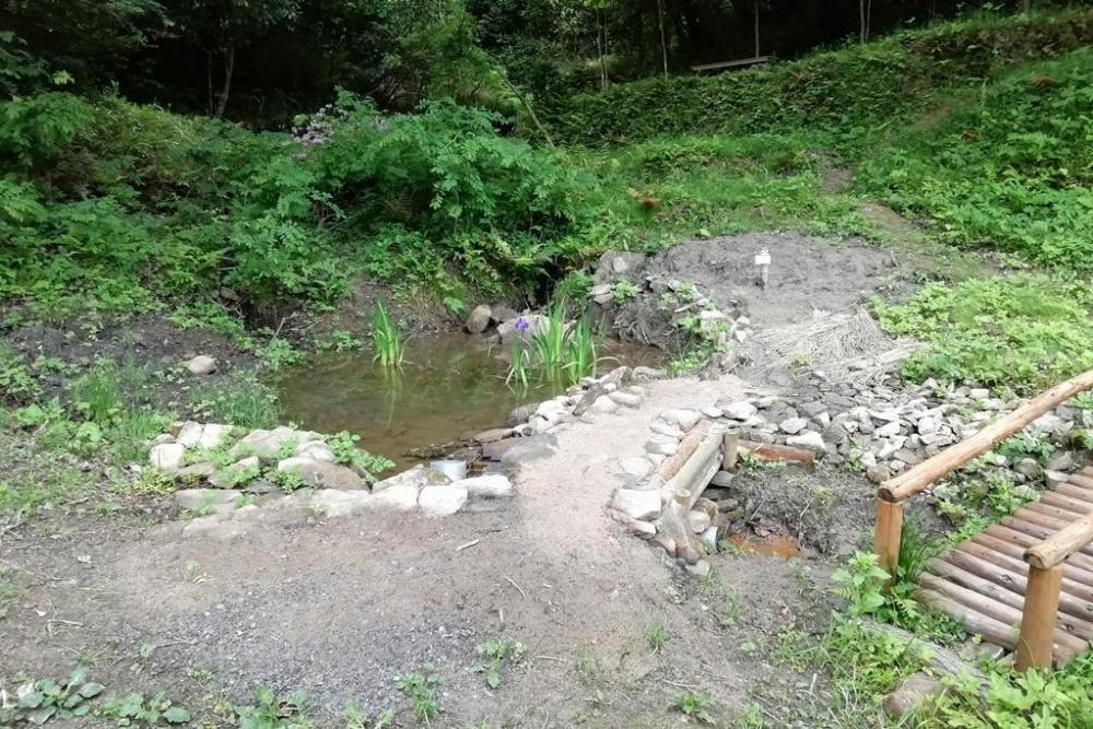 からたちとくるみの小路にカキツバタの池が完成しました！