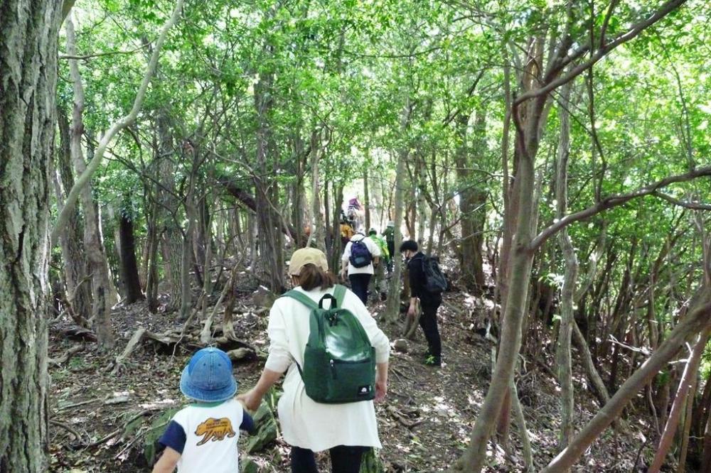 水晶山を目指しどんどん進んでいきます！