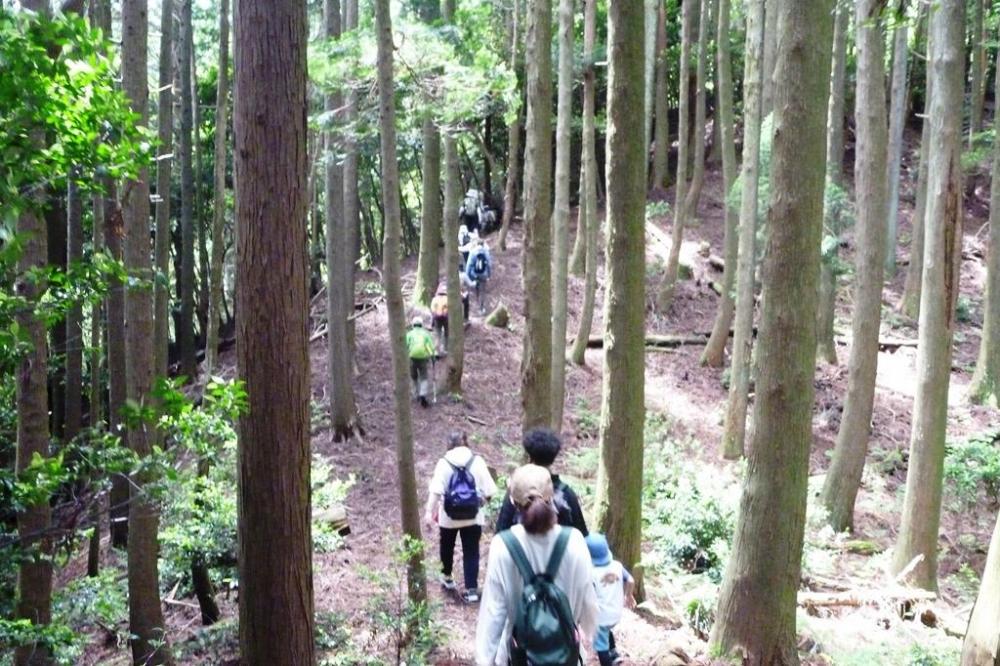 帰りは下りなのでぐんぐん進んでいきます！