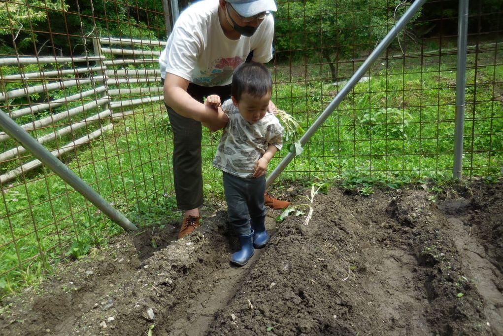 小さな子もがんばってます。