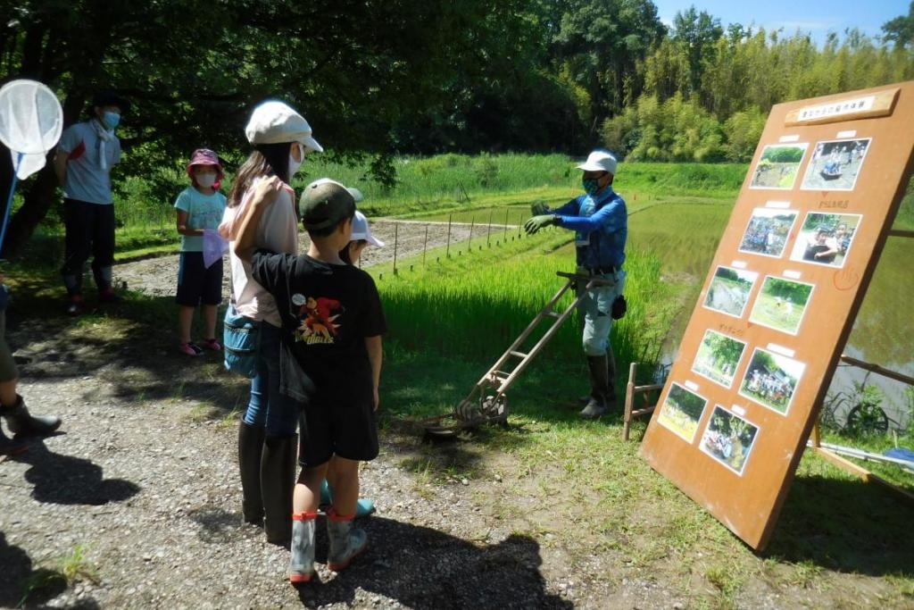 これが昔ながらの草取りの道具「手押し除草機」！！