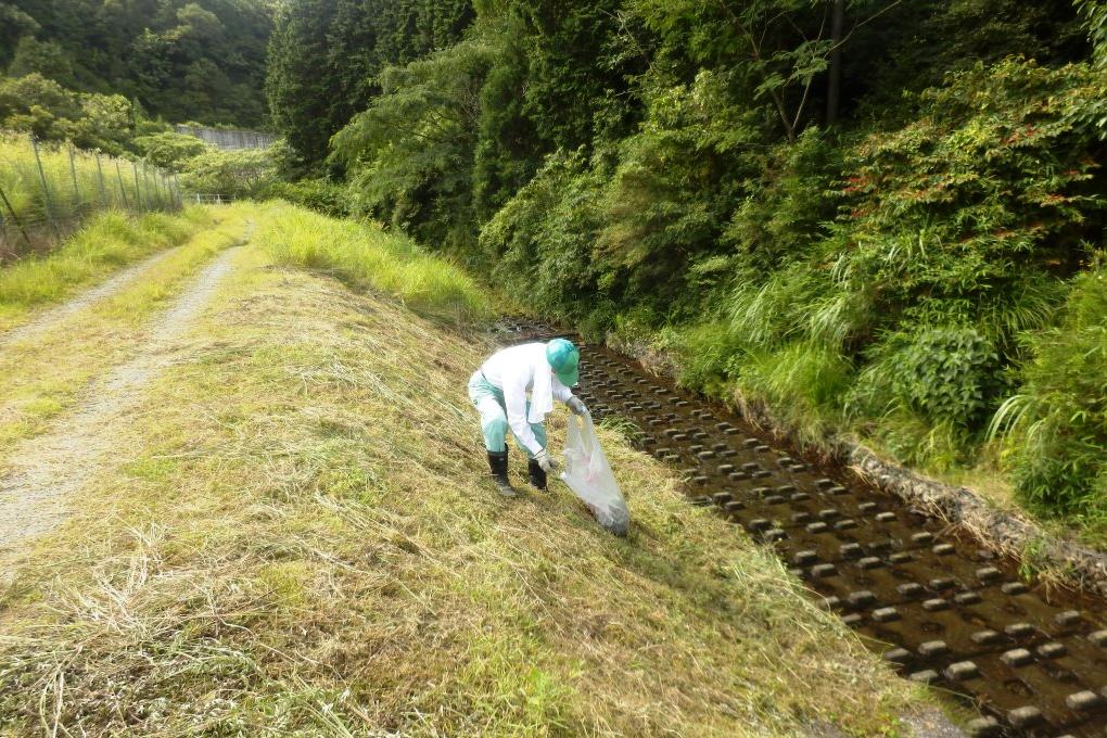 さっそく何か落ちているようです。