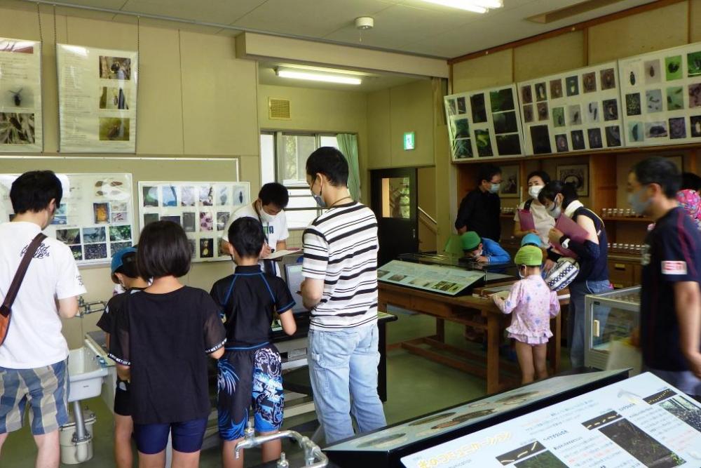 展示物からクイズの答えを探していきます！