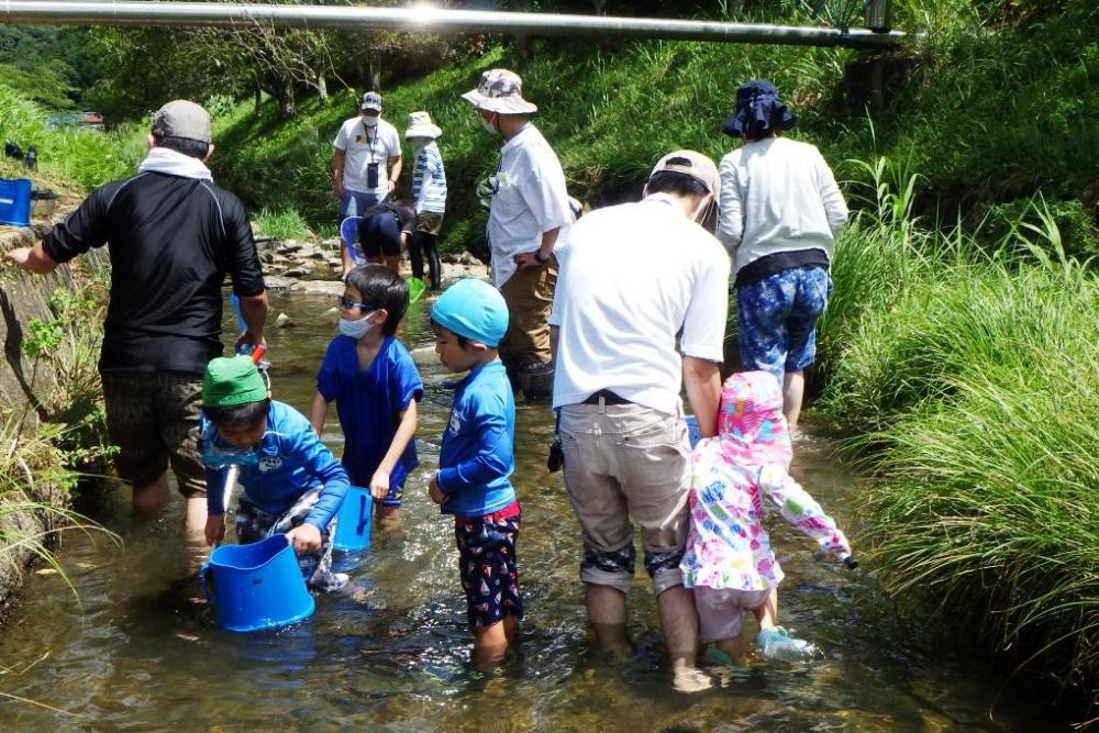 生き物調査開始！どんな生き物が見つかるかな