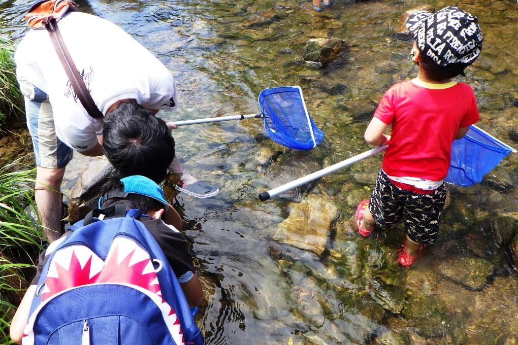 みんな真剣に生き物をさがしています！