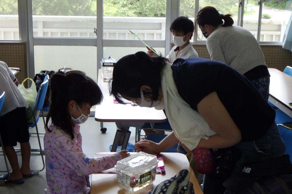 シートにつかまえた生き物を書いています！