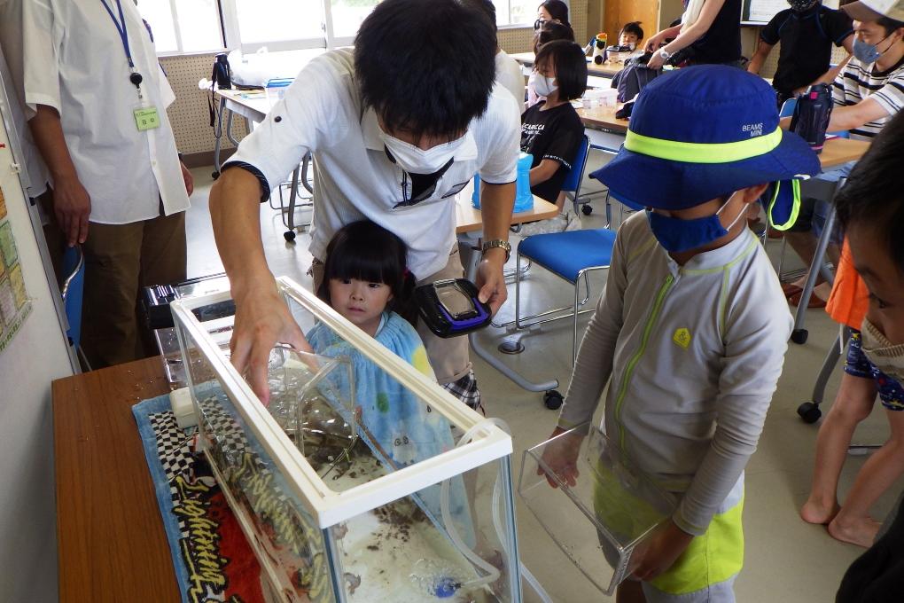 たくさんの生き物が集まりました！