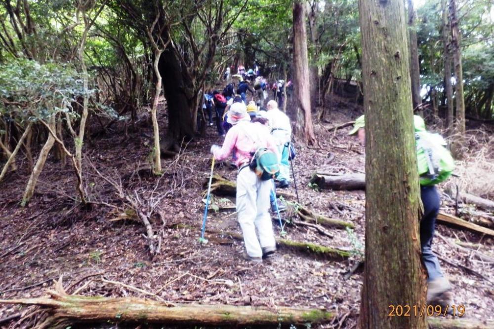 動物山前の登り道。息が上がります。