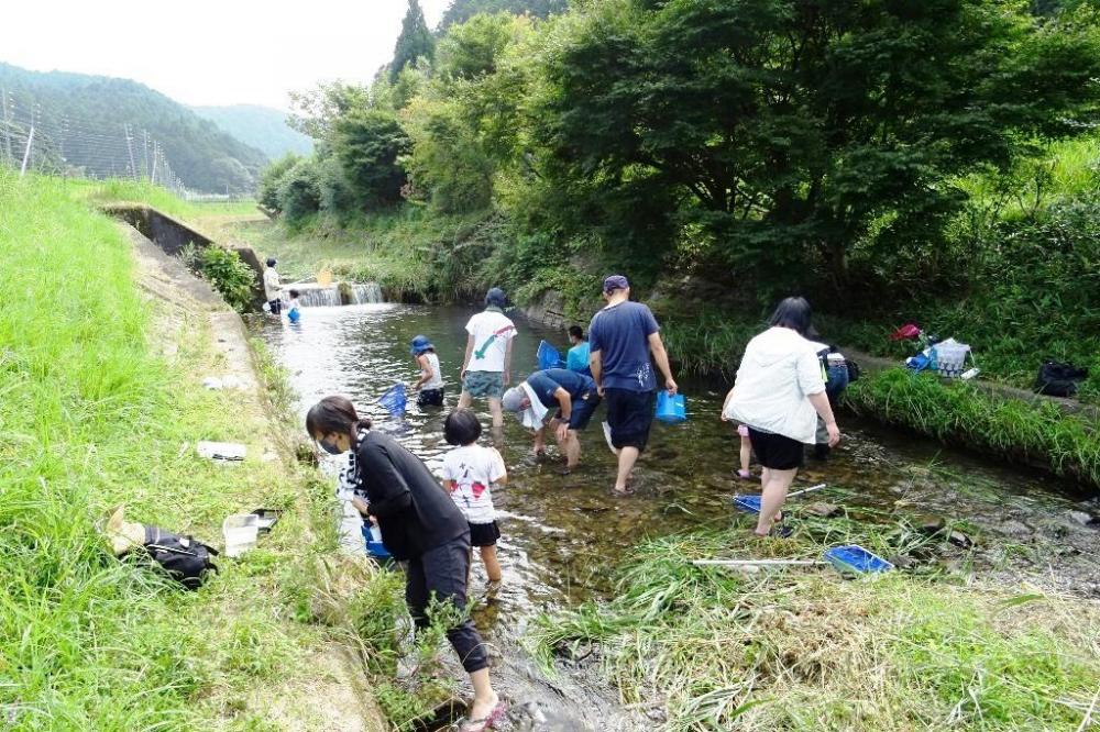 夏は川へヤゴを探しに行きました