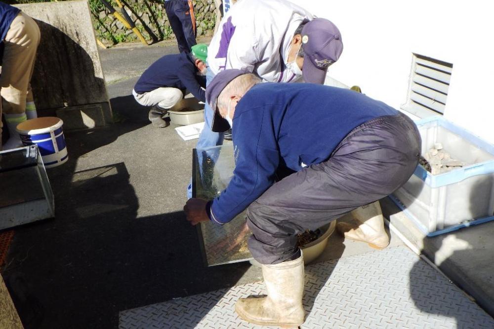 水を抜いた水槽を運びます！