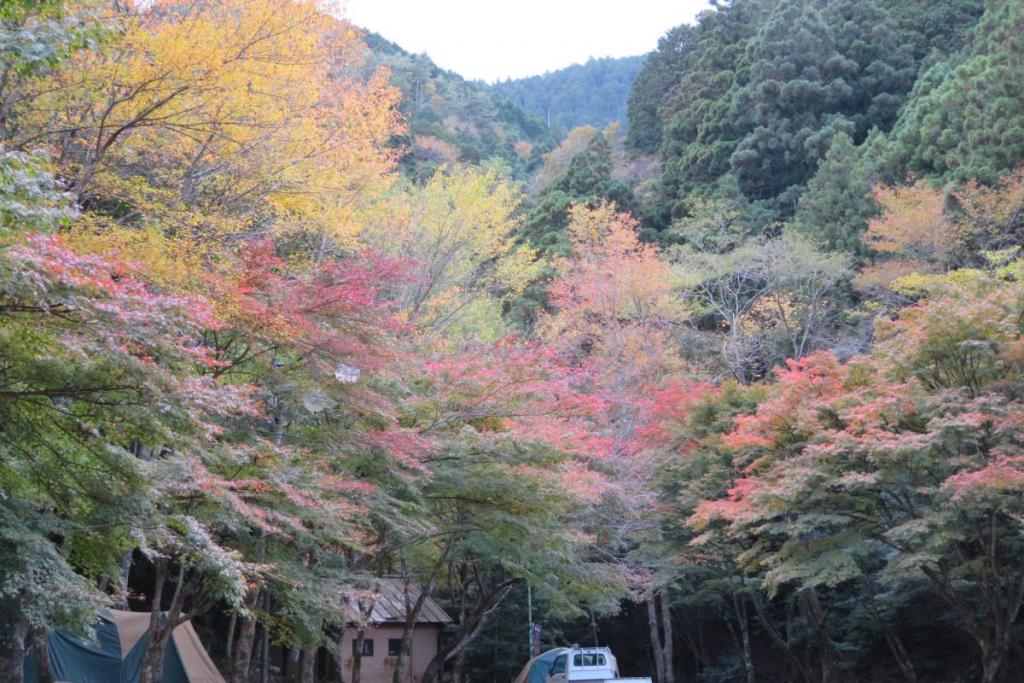 花の木広場