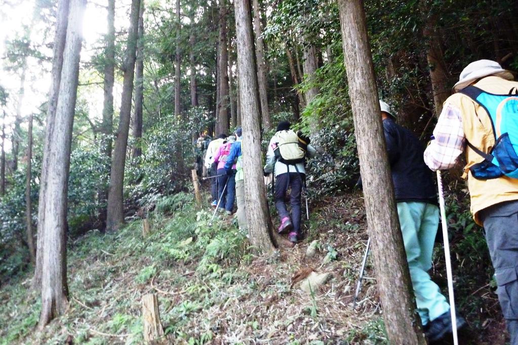 いきなりの登坂ですが、頑張って上ります！