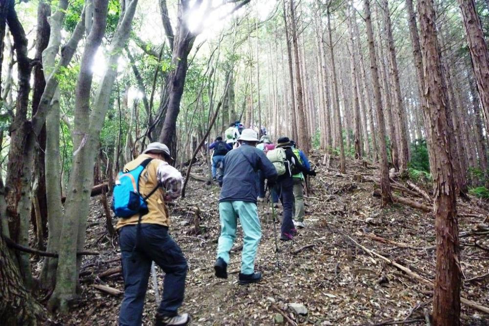 休憩を挟んで再度元気に出発！