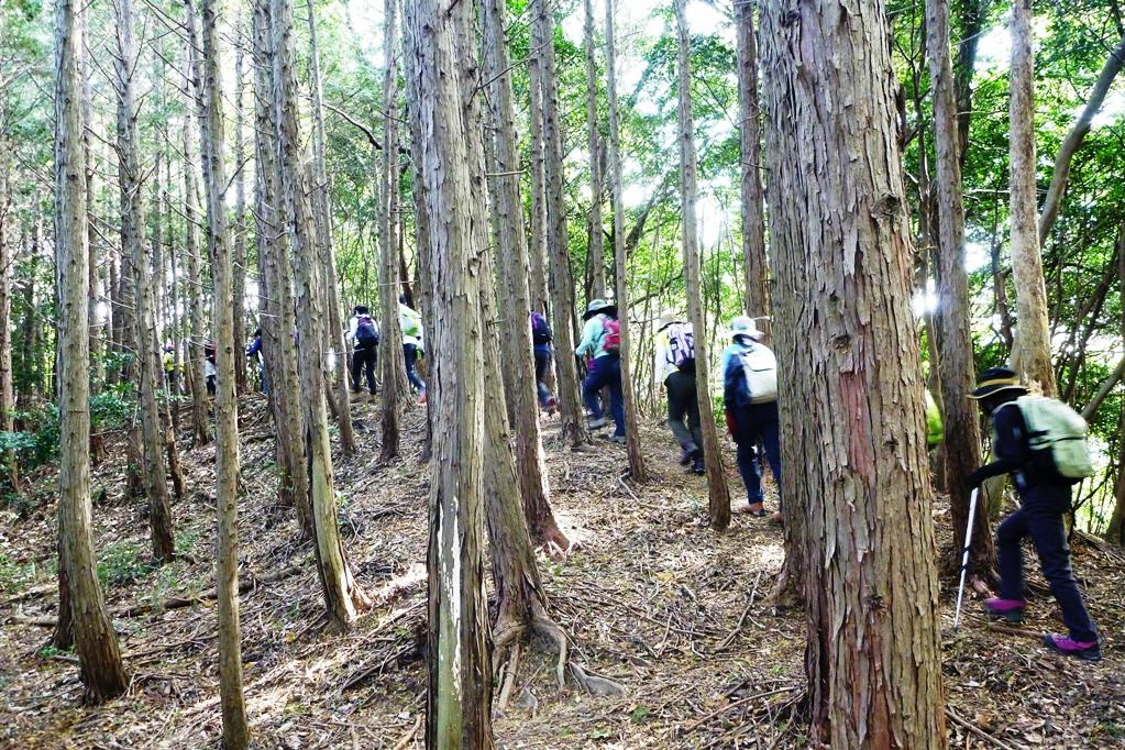 次は地蔵峠を目指して出発します！