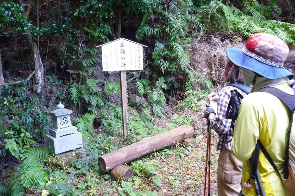 鳥川の湧水群の一つ「産湯の滝」平成の名水100選に選ばれています