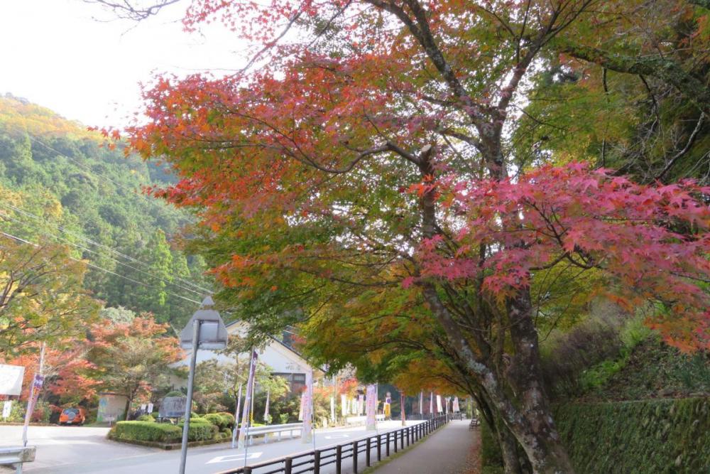 第１駐車場から登山口へ