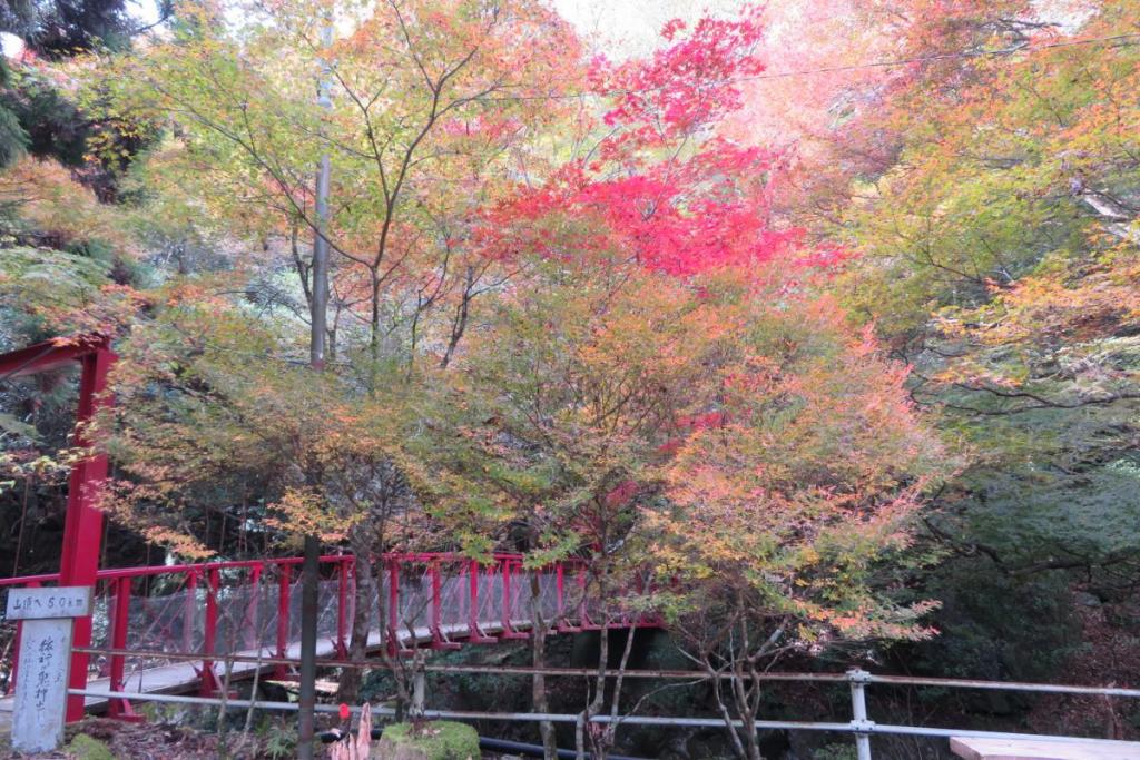 くらがり山荘横