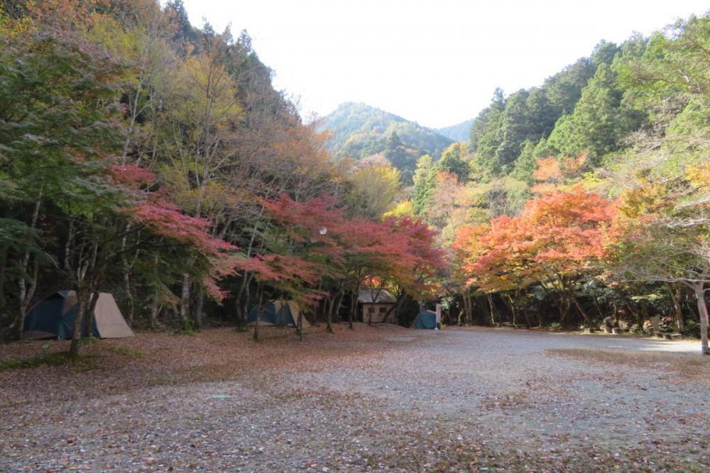 花の木広場