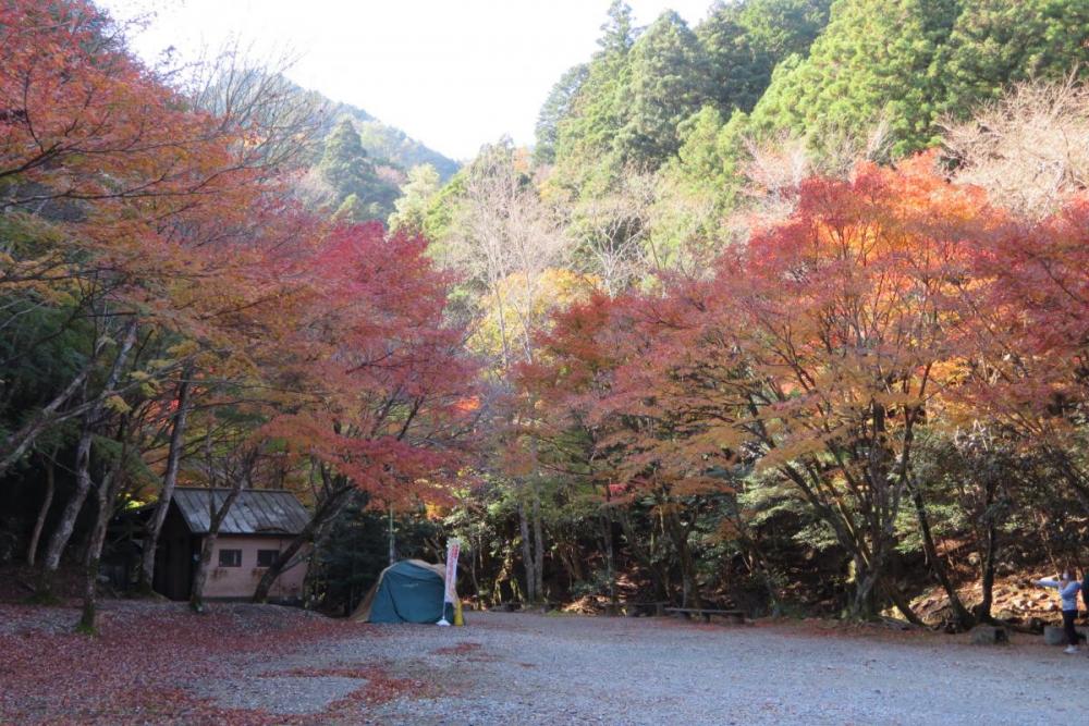 花の木広場