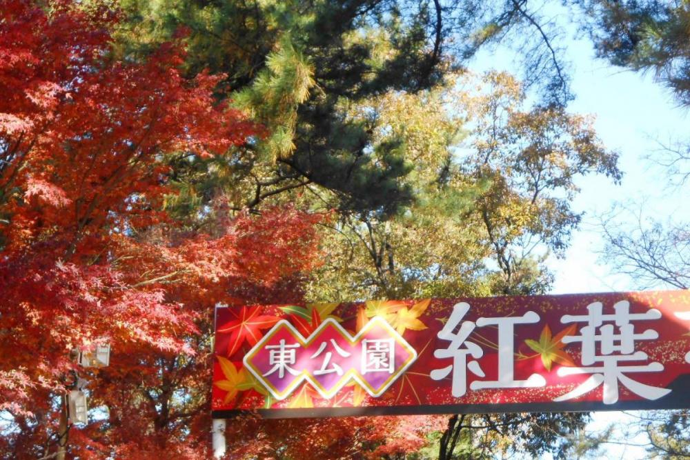 紅葉まつりは５日までです。