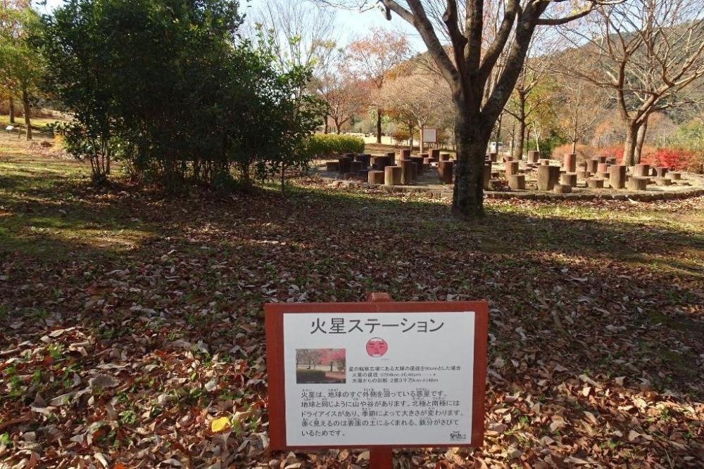 昆虫の森の火星ステーション