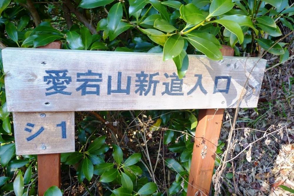 愛宕山新道の入口に到着しました！