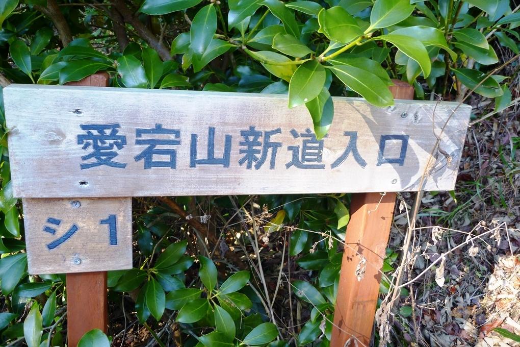 愛宕山新道の入口に到着しました！