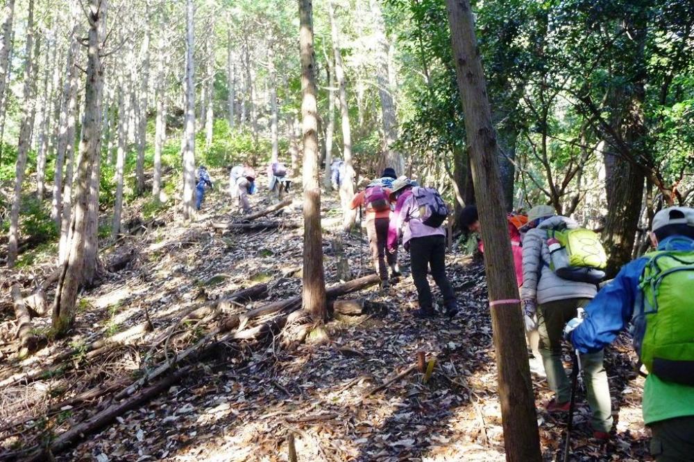 最初の登りが少し大変です。頑張って上ります！