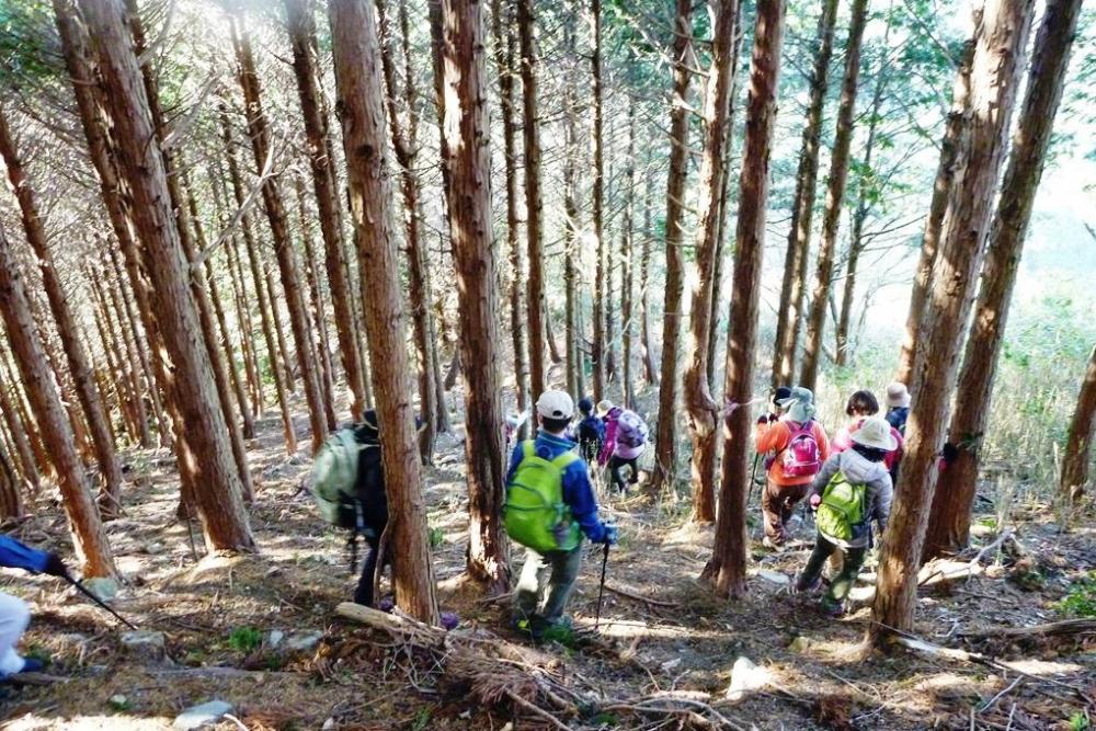 後半は登りもないため、ぐんぐんと進んでいきます！