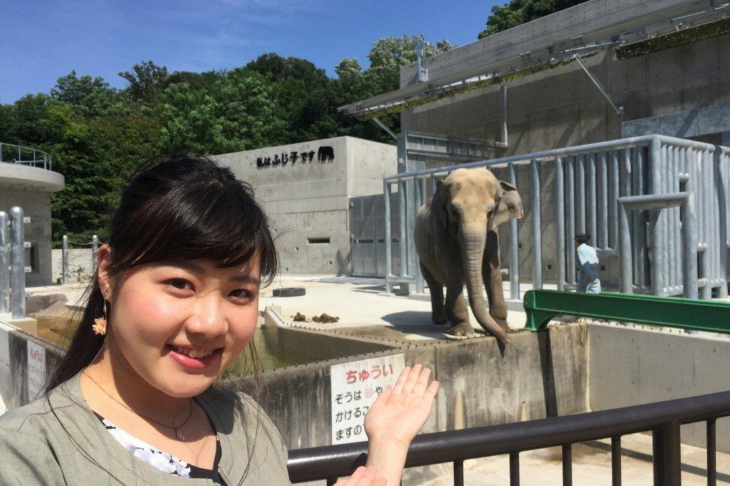 新ゾウ舎にふじ子もご機嫌です♪