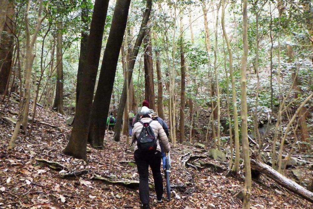 新たなミステリースポットを目指し山の中へ！