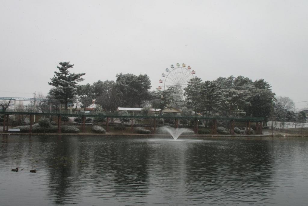 西三田ヶ池から見た遊園地