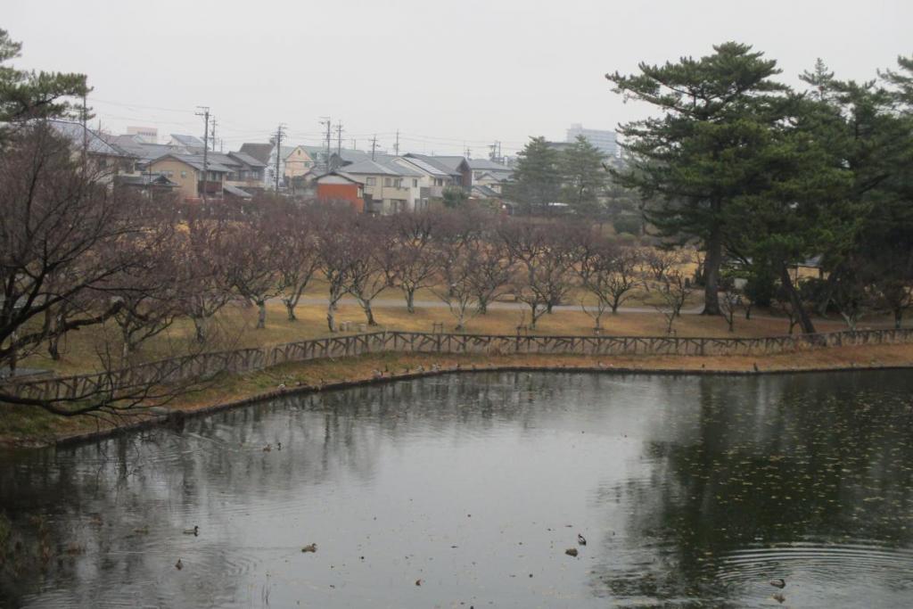 全景１