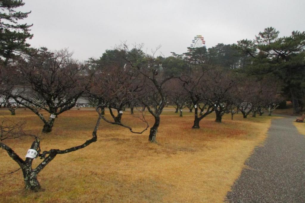 全景２