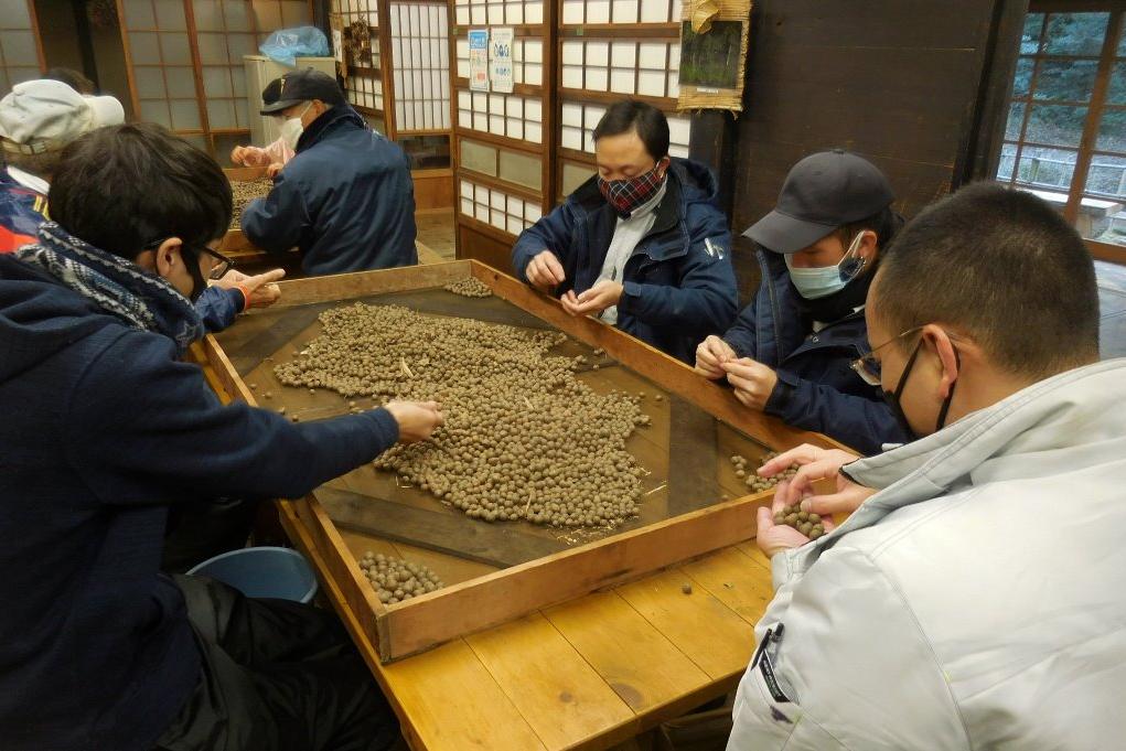 外国からの実習生の方、初めてのお茶の実選別です。