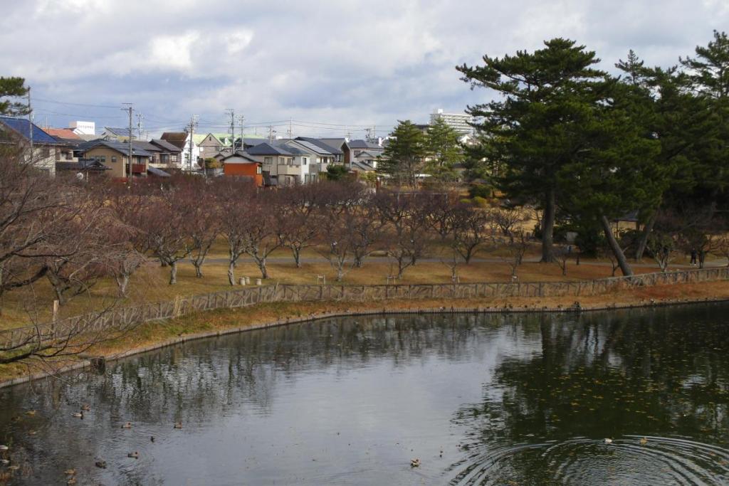 全景１