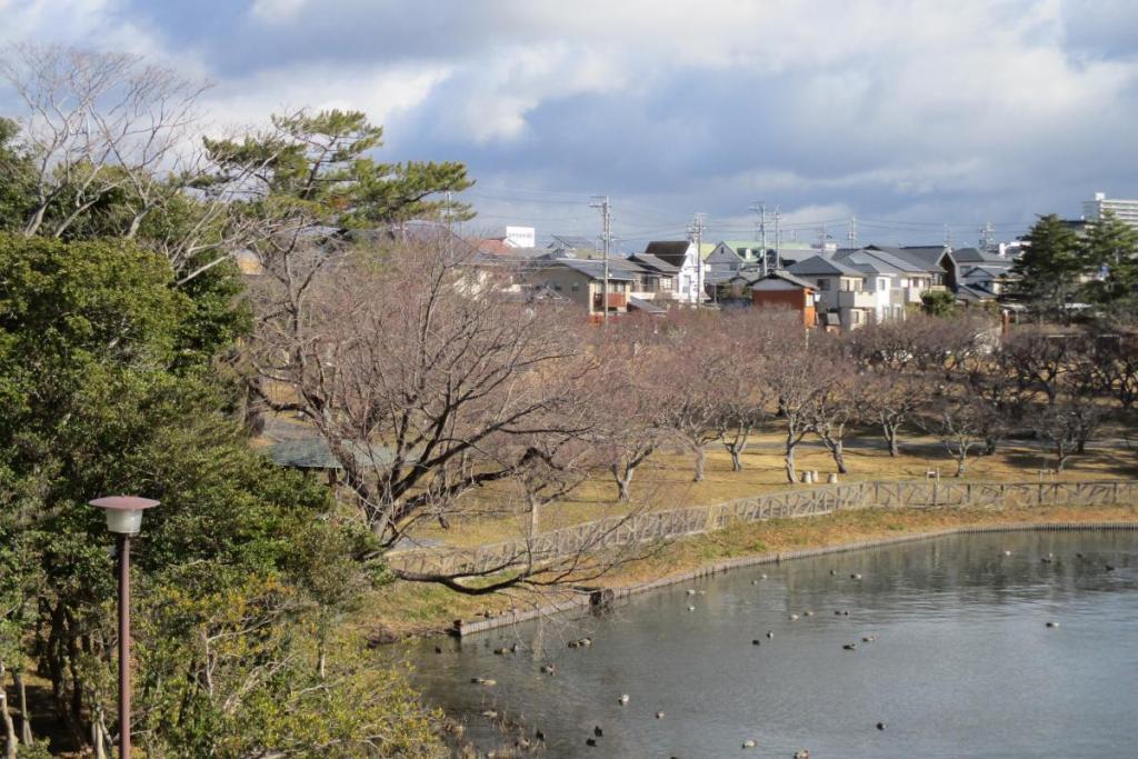 全景1
