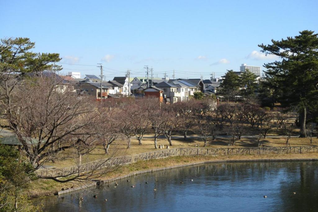全景１