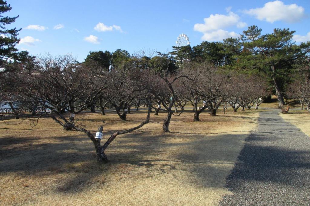 全景２
