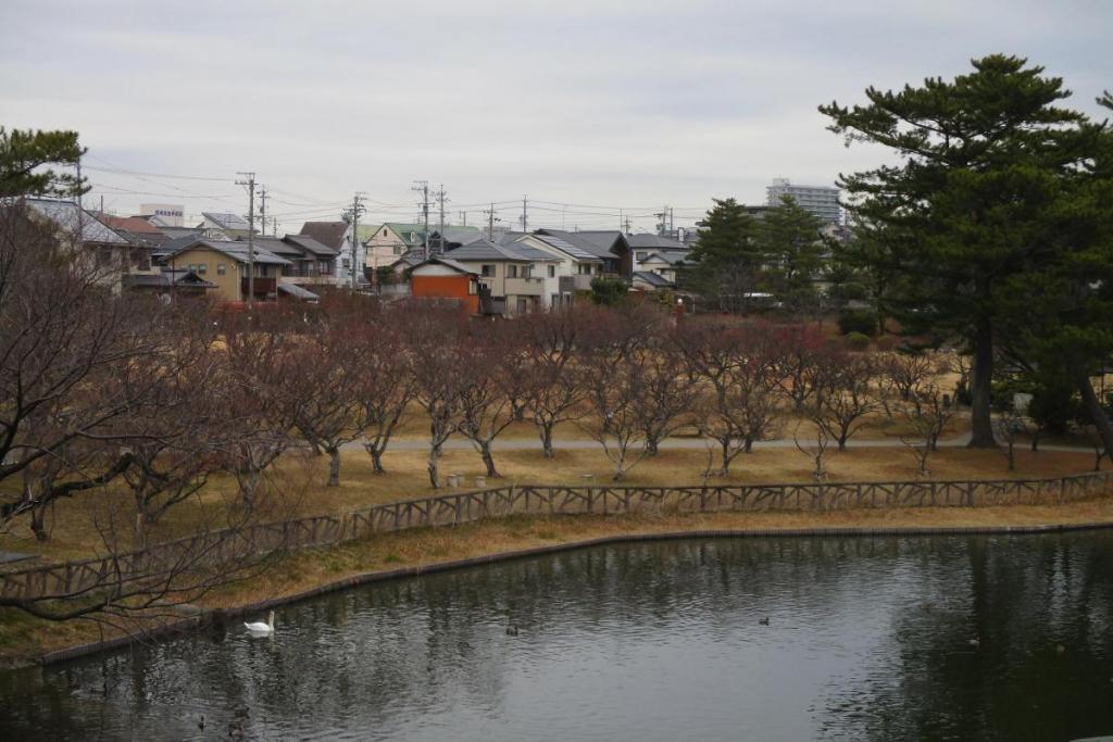 全景１