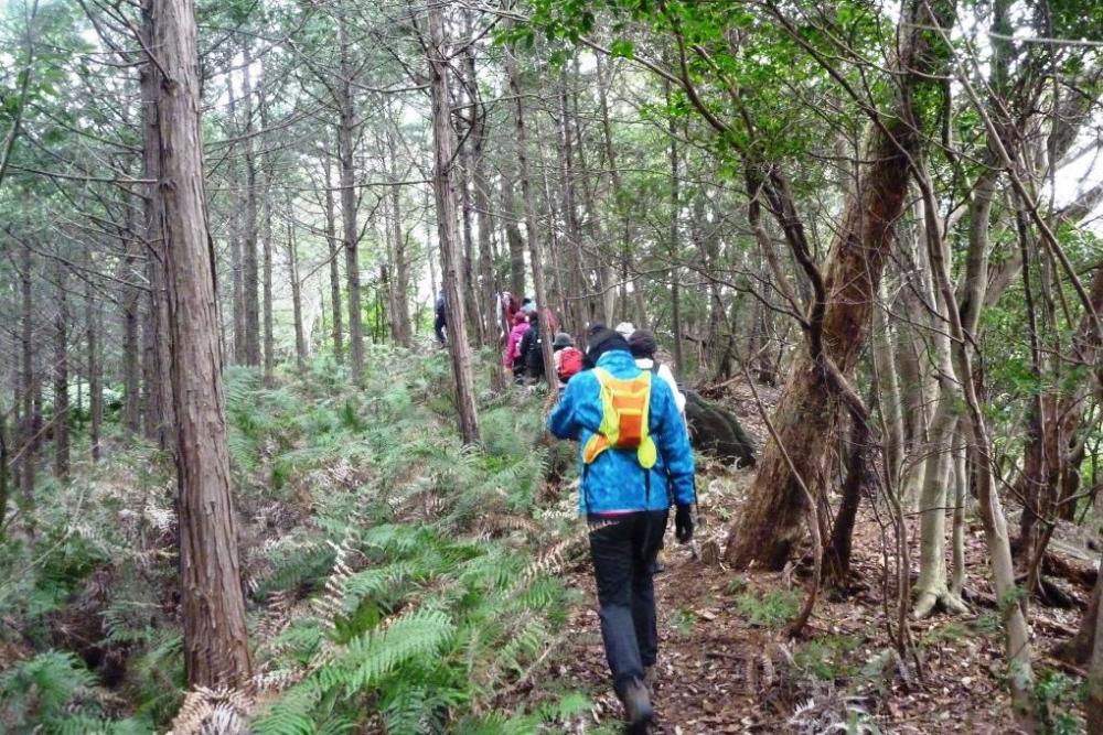 「水晶山」を目指して再び出発！体が温まってきました。